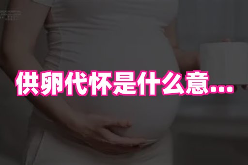 swisee孕网 4